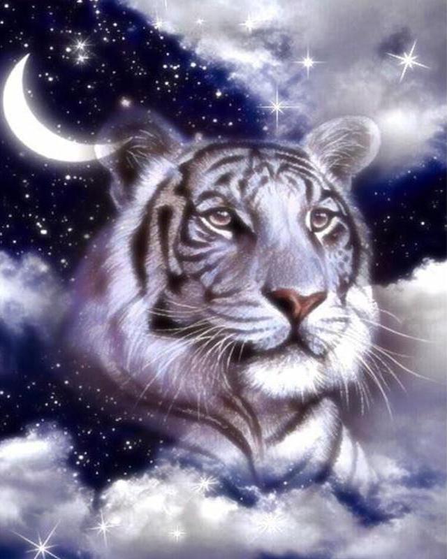 Алмазная картина Тигр, полная квадратная дрель, рукоделие, Алмазная вышивка, вышивка крестиком, Алмазная мозаика, домашний декор Full Round 30X40CM темно-синий
Алмазная картина Тигр, полная квадратная дрель, рукоделие, Алмазная вышивка, вышивка крестиком, Алмазная мозаика, домашний декор Full Round 30X40CM темно-синий