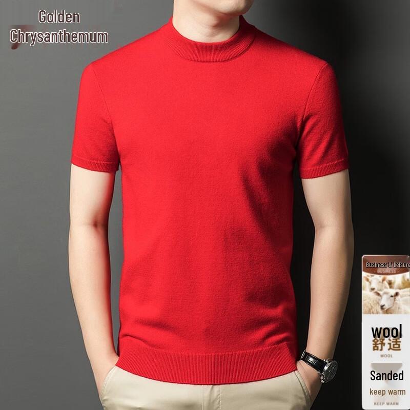 Men s Half-High Collar Short-Sleeve Wool-Blend Knit T-Shirt 4XL (190cm)
Men s Half-High Collar Short-Sleeve Wool-Blend Knit T-Shirt 4XL (190cm)