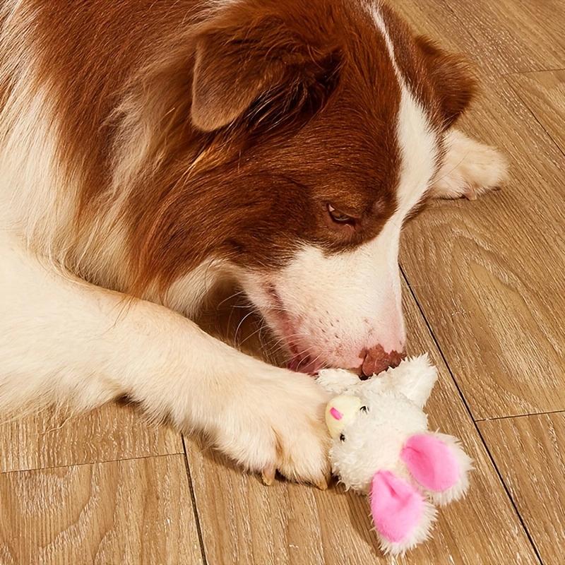 Simulation Rabbit Shape Plush Toy, For Pets Grinding Teeth Cleaning Interactive Play pet supplies teeth cleaning dog chew toy белый
Simulation Rabbit Shape Plush Toy, For Pets Grinding Teeth Cleaning Interactive Play pet supplies teeth cleaning dog chew toy белый