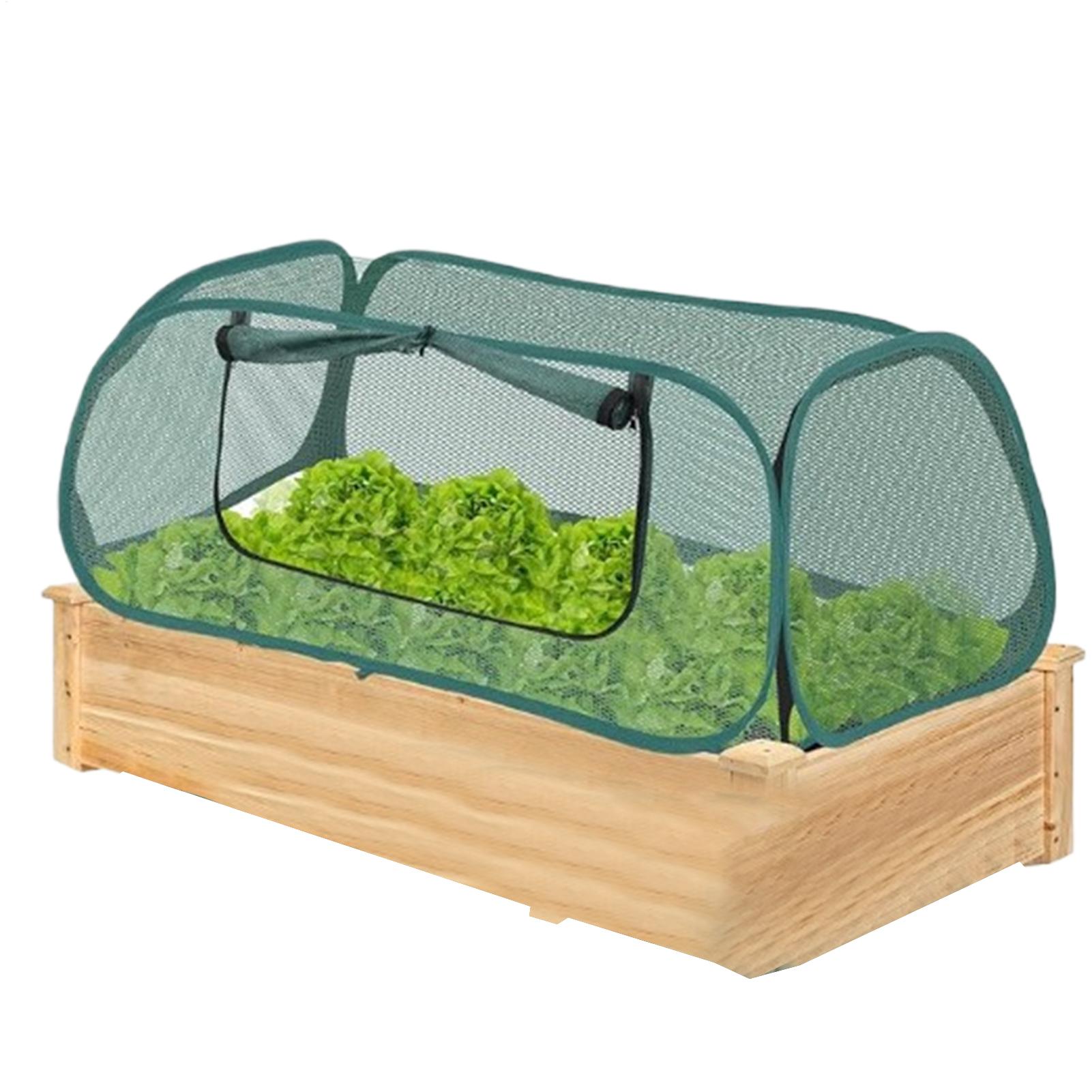 Pop-up Garden Mesh Plant Cover Portable Plant Tent Mesh Net Barrier Bird Netting For Outdoor Garden Greenhouse Flower Bed China Mainland
Pop-up Garden Mesh Plant Cover Portable Plant Tent Mesh Net Barrier Bird Netting For Outdoor Garden Greenhouse Flower Bed China Mainland