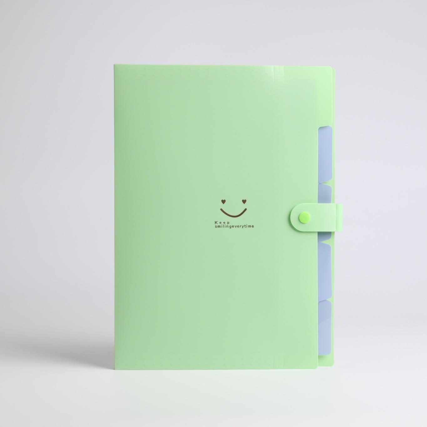 5page Classic Accordion File Folders - A4 Document Storage Bags with Plastic Material and Test Roll Holder - Durable and Expanda зелений
5page Classic Accordion File Folders - A4 Document Storage Bags with Plastic Material and Test Roll Holder - Durable and Expanda зелений