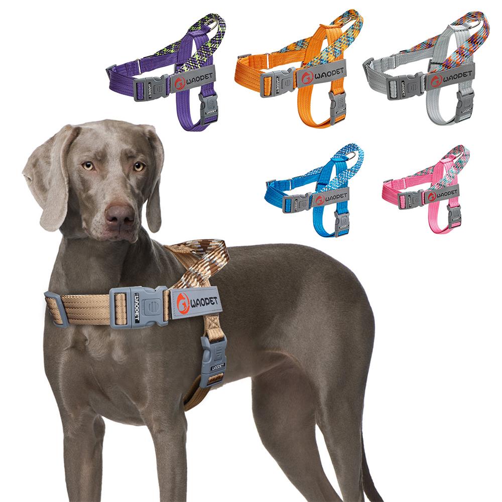 Pet Fashion Dog Harnesses For Medium And Large Walking Dogs Portable New Design Safety Chest Harness Colorful Collar Accessories XS Bust16.5-22in
Pet Fashion Dog Harnesses For Medium And Large Walking Dogs Portable New Design Safety Chest Harness Colorful Collar Accessories XS Bust16.5-22in