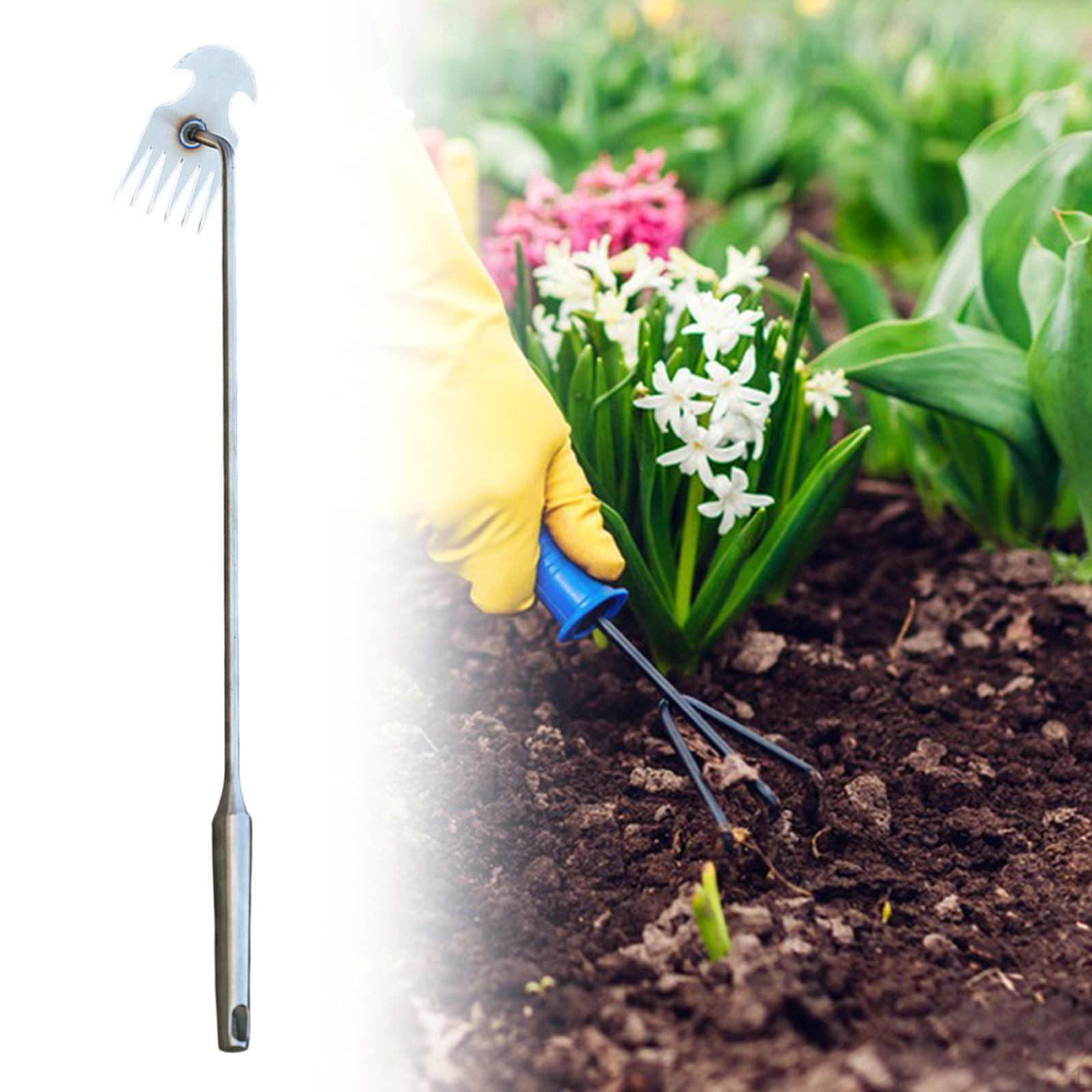 Садовый инструмент для набивки из нержавеющей стали, портативный, эргономичный дизайн, удобный удалитель сорняков для 58.5cmx6.5cmx10.5cm_6 Teeth
Садовый инструмент для набивки из нержавеющей стали, портативный, эргономичный дизайн, удобный удалитель сорняков для 58.5cmx6.5cmx10.5cm_6 Teeth