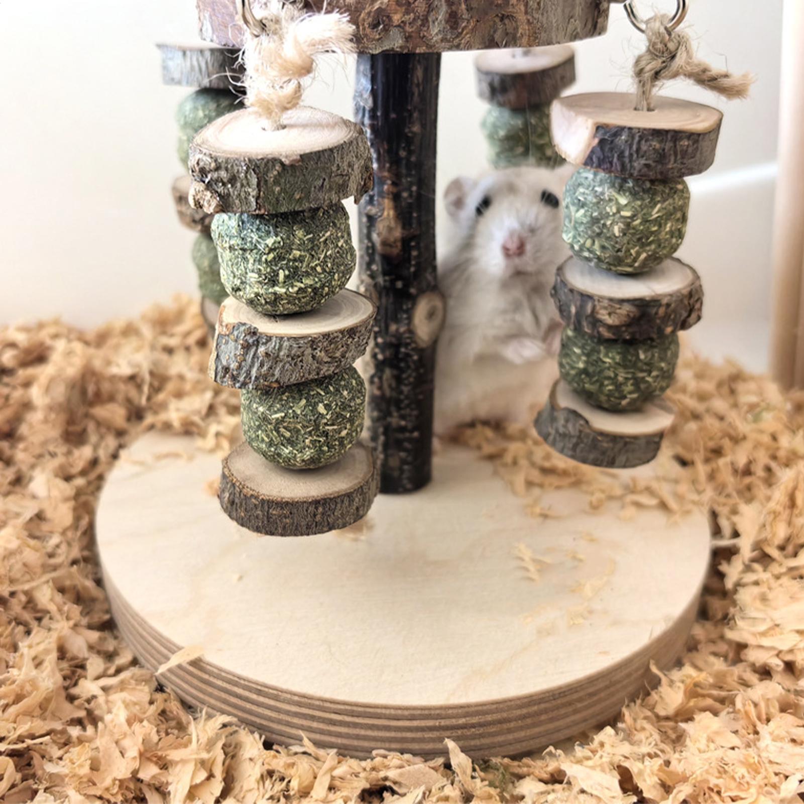 Toys For Hamsters Wooden Natural Teething Treats Hamster Chew Toys For Teeth Grinding Small Animals Mice Gerbil Chinchilla China Mainland
Toys For Hamsters Wooden Natural Teething Treats Hamster Chew Toys For Teeth Grinding Small Animals Mice Gerbil Chinchilla China Mainland