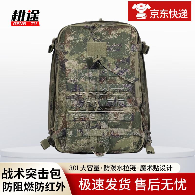 Tactical Camouflage Assault Backpack
Tactical Camouflage Assault Backpack