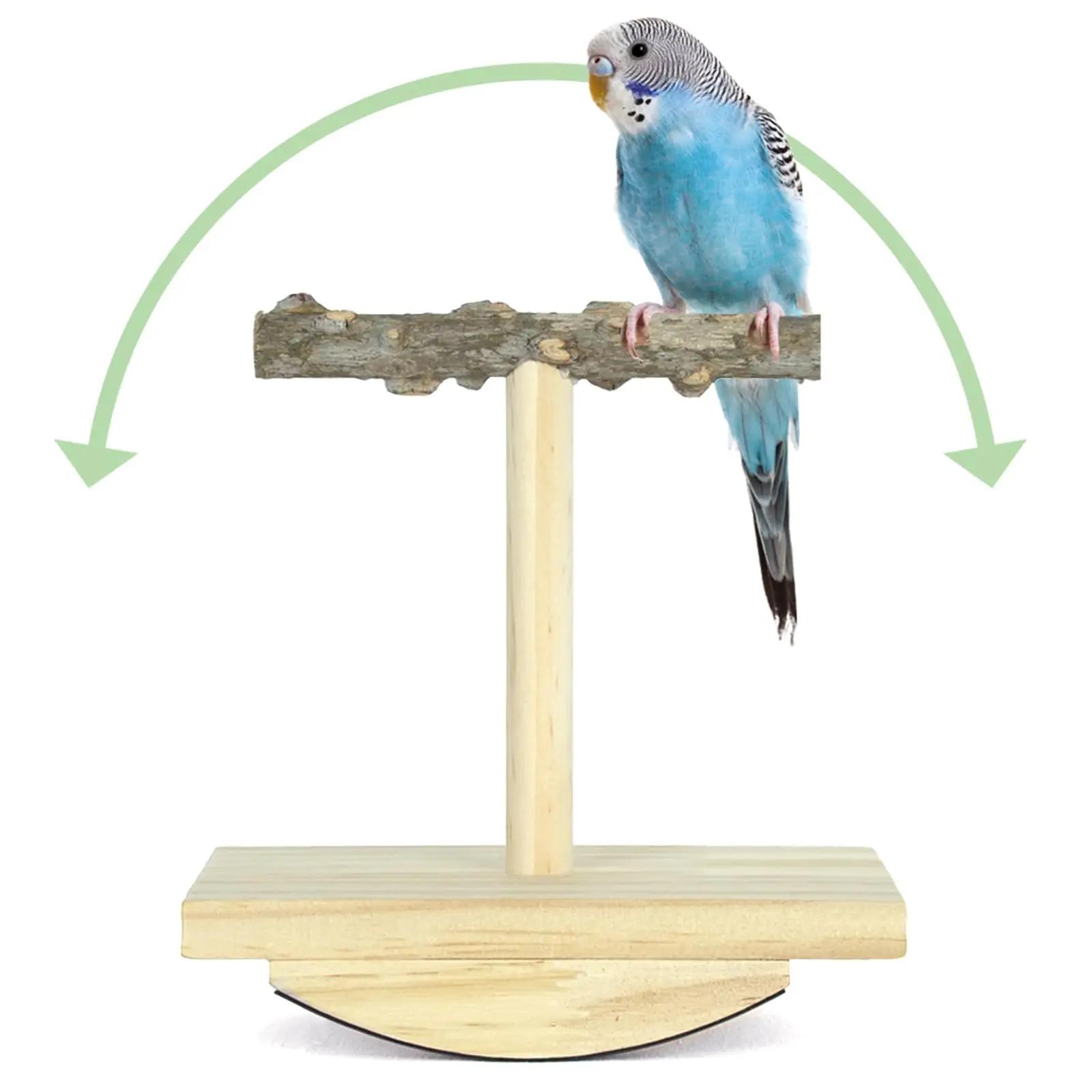 Natural Wooden Bird Training Frame Educational Toys Parrot Perch Wooden Platform Bird Playground Game Station Frame білий
Natural Wooden Bird Training Frame Educational Toys Parrot Perch Wooden Platform Bird Playground Game Station Frame білий