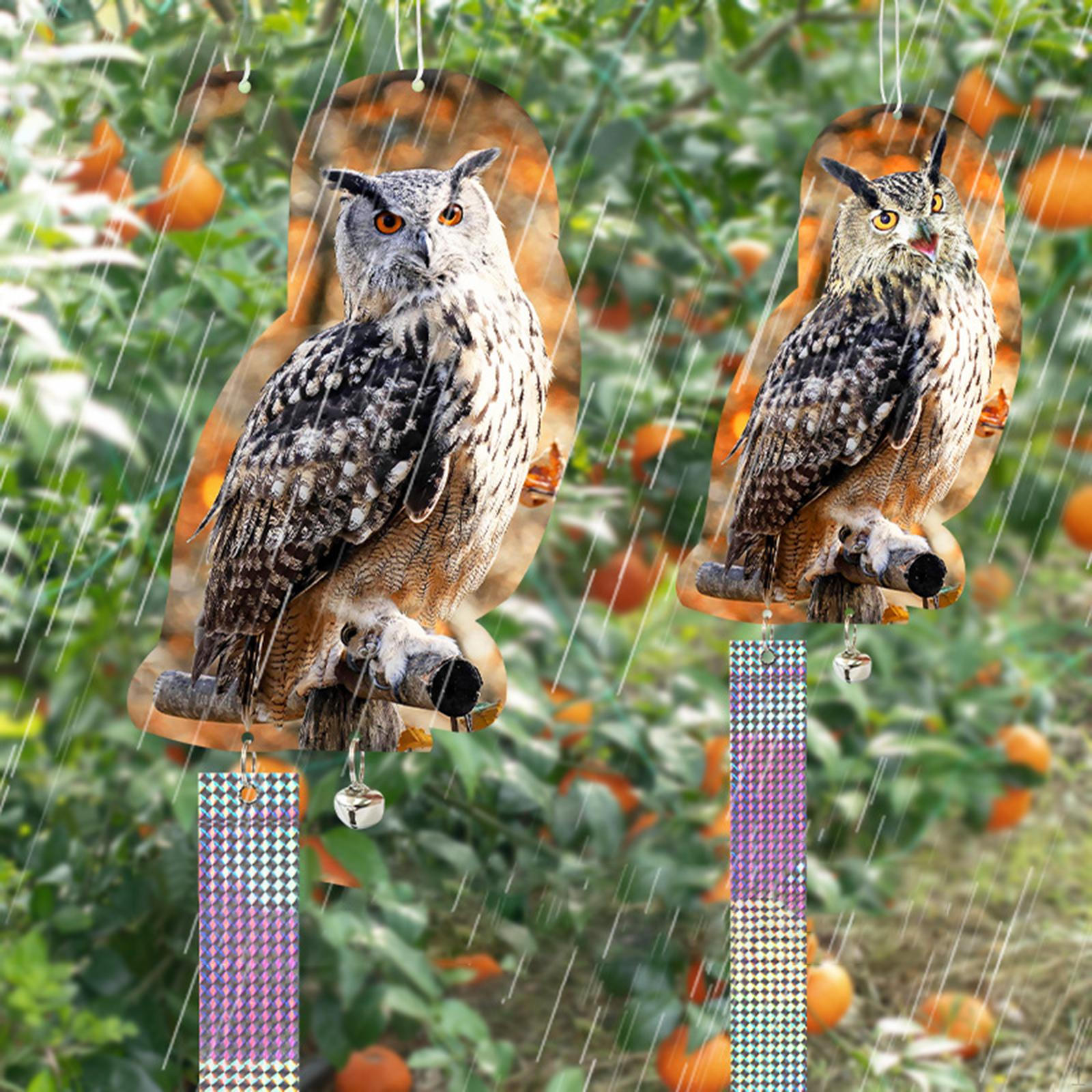 Owl Scarecrows repellenten to Keep Birds Away for Outdoor Garden Yard
Owl Scarecrows repellenten to Keep Birds Away for Outdoor Garden Yard