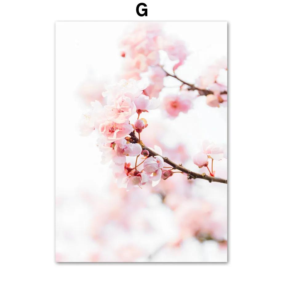 Розовый вишневый цвет, пион, цветок орхидеи, скандинавские постеры, настенное искусство, холст, живопись и принты, настенные картины для спальни, домашний декор 21x30cm No Framed
Розовый вишневый цвет, пион, цветок орхидеи, скандинавские постеры, настенное искусство, холст, живопись и принты, настенные картины для спальни, домашний декор 21x30cm No Framed