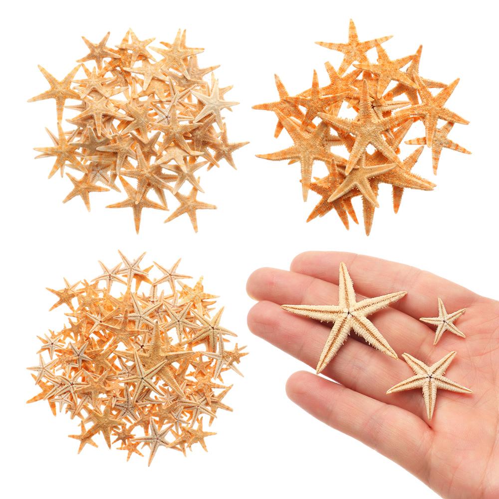 DIY Crafts Craft Making Seashells Starfish Ocean Decor Mixed Starfish-Natural Handmade Accessories 3-5cm 20pcs
DIY Crafts Craft Making Seashells Starfish Ocean Decor Mixed Starfish-Natural Handmade Accessories 3-5cm 20pcs