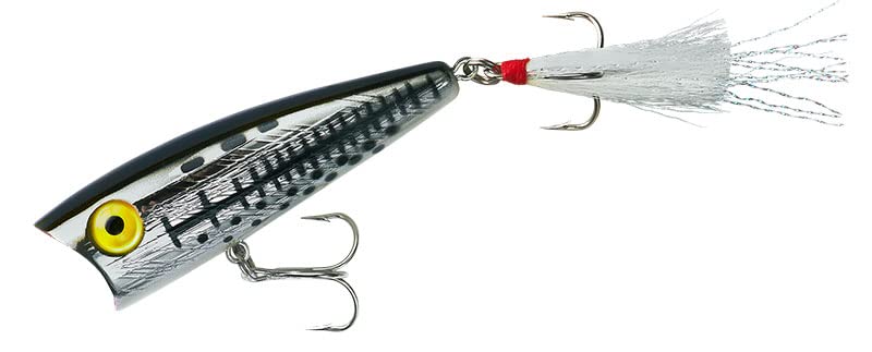 SMITH LTD Pop R P60 17.Ore Bass 6.35cm
SMITH LTD Pop R P60 17.Ore Bass 6.35cm