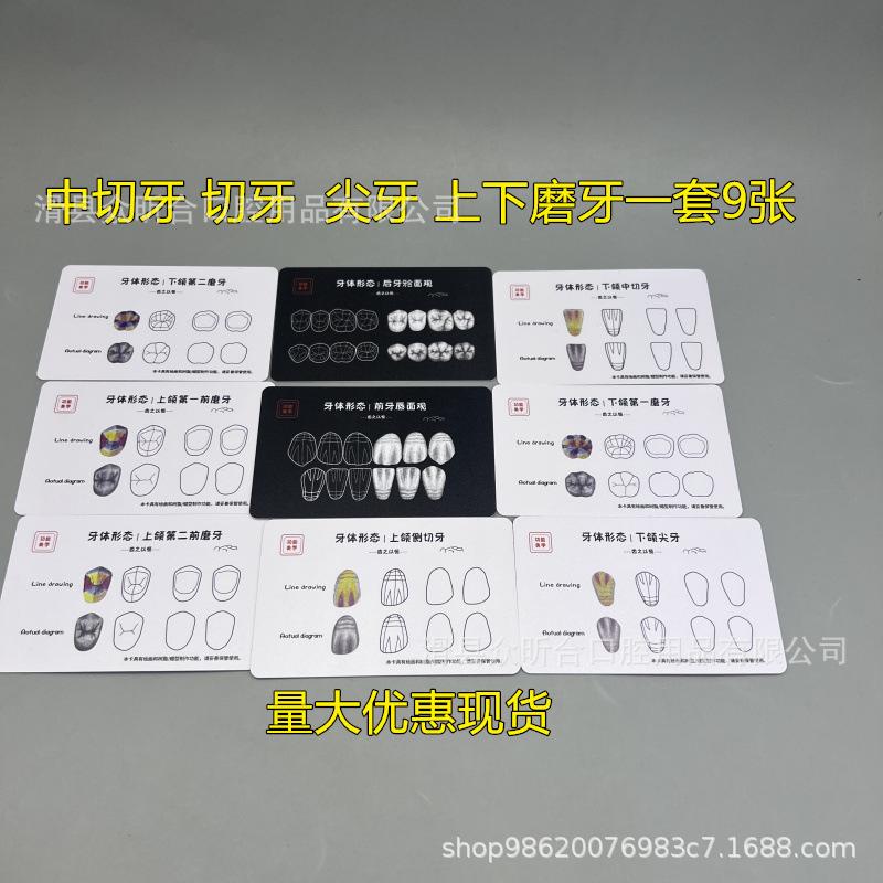 Resin Wax Dental Sculpting Card for Tooth Morphology Practice Other
Resin Wax Dental Sculpting Card for Tooth Morphology Practice Other