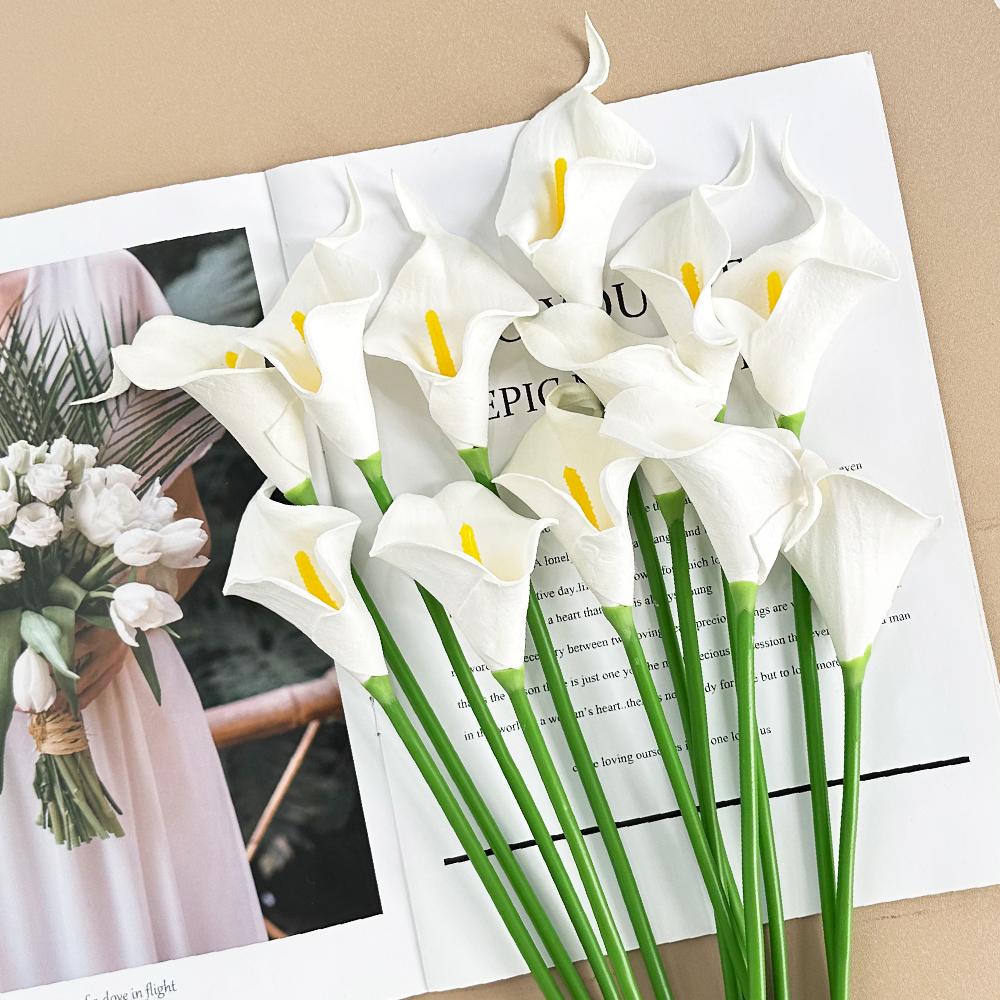 6 ШТ. Искусственные цветы каллы для украшения, Свадебный букет невесты, для декора дома, комнаты, офиса, стола, Фиолетовый искусственный цветок каллы 6PCS белый
6 ШТ. Искусственные цветы каллы для украшения, Свадебный букет невесты, для декора дома, комнаты, офиса, стола, Фиолетовый искусственный цветок каллы 6PCS белый