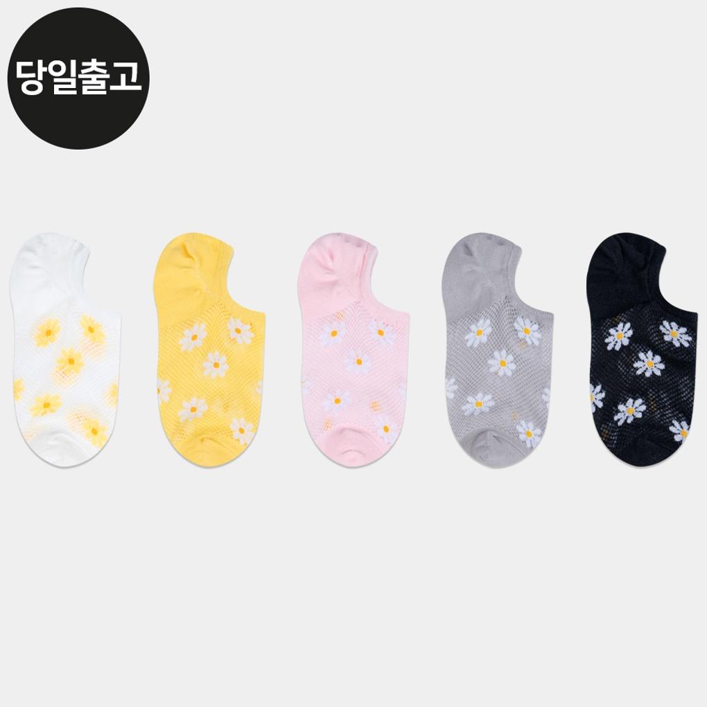 PG Women s/Student Daisy Mesh Socks (5 Pairs) Set Daily Fake Socks
PG Women s/Student Daisy Mesh Socks (5 Pairs) Set Daily Fake Socks