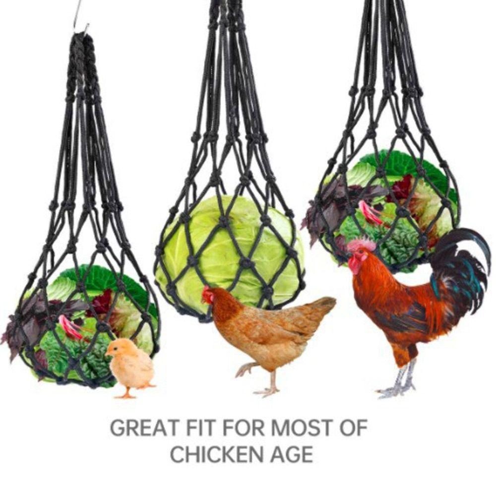 Duck Chicken Goose Vegetable Fruit Holder Hanging Feed Device Poultry Feeding Net Bag Slow Feeder
Duck Chicken Goose Vegetable Fruit Holder Hanging Feed Device Poultry Feeding Net Bag Slow Feeder