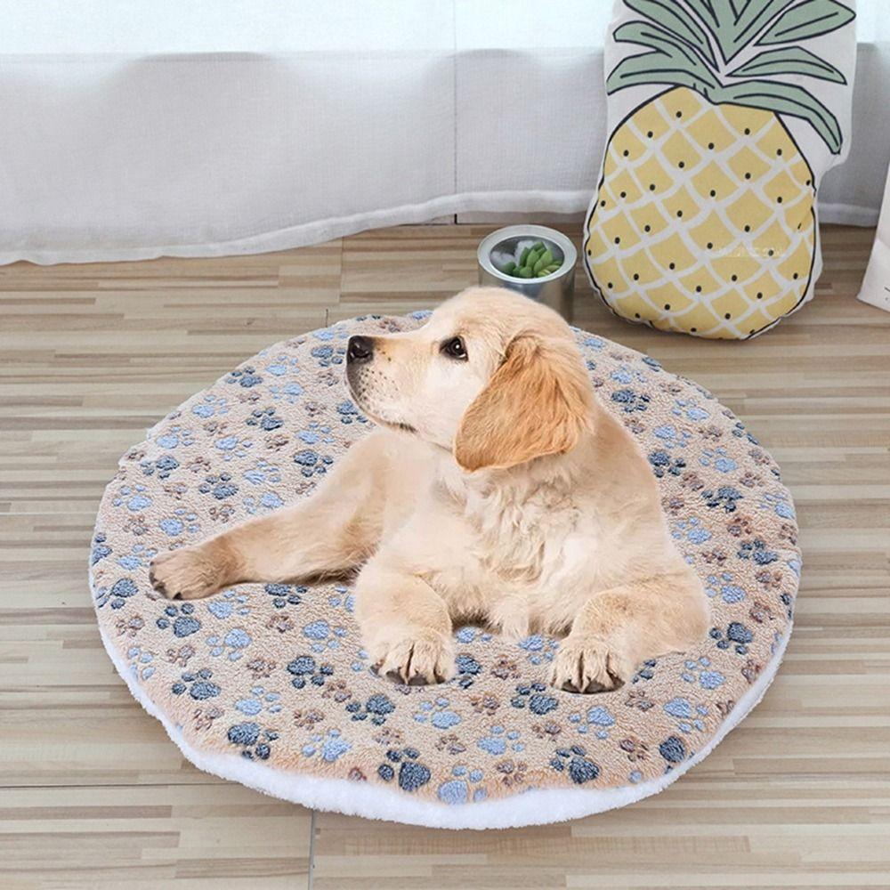Short Plush Pet Sleeping Bed Mats Warm Cat Bed Mats Cat Accessories Pet Cushion Small Medium Dogs Style 3
Short Plush Pet Sleeping Bed Mats Warm Cat Bed Mats Cat Accessories Pet Cushion Small Medium Dogs Style 3