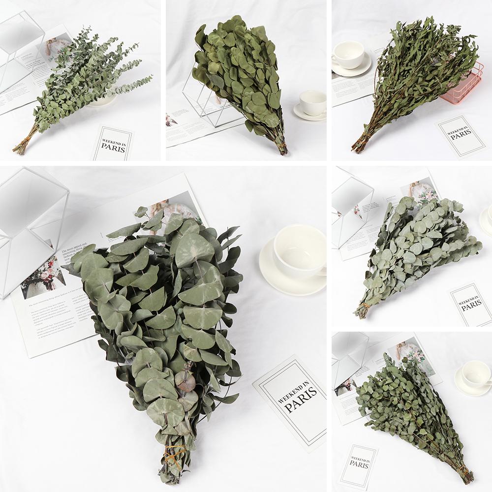 Props Natural Material Home Decoration Eucalyptus Real Flower Plant Stems Natural Dried Bouquets
Props Natural Material Home Decoration Eucalyptus Real Flower Plant Stems Natural Dried Bouquets