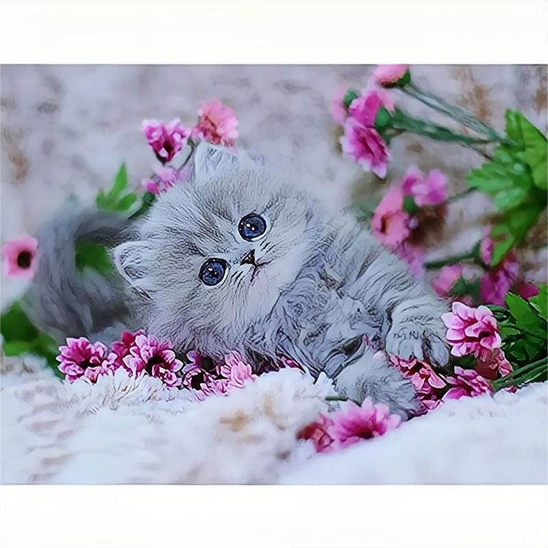 Полный круглый алмаз вышивка кошка DIY круглый алмаз живопись животных мозаика украшения дома 30x40 см/12x16 дюймов 30x40cm NO Frame
Полный круглый алмаз вышивка кошка DIY круглый алмаз живопись животных мозаика украшения дома 30x40 см/12x16 дюймов 30x40cm NO Frame