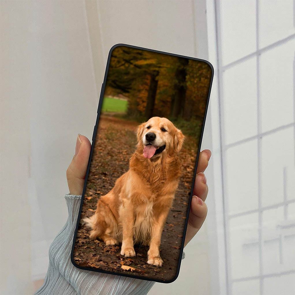 Husky Golden Retriever Dog Silicone Coque Phone Cover for Samsung Galaxy A10 A20 A53 A30 A51 A32 A50 A52 A12 A33 Soft Case Samsung A50S
Husky Golden Retriever Dog Silicone Coque Phone Cover for Samsung Galaxy A10 A20 A53 A30 A51 A32 A50 A52 A12 A33 Soft Case Samsung A50S