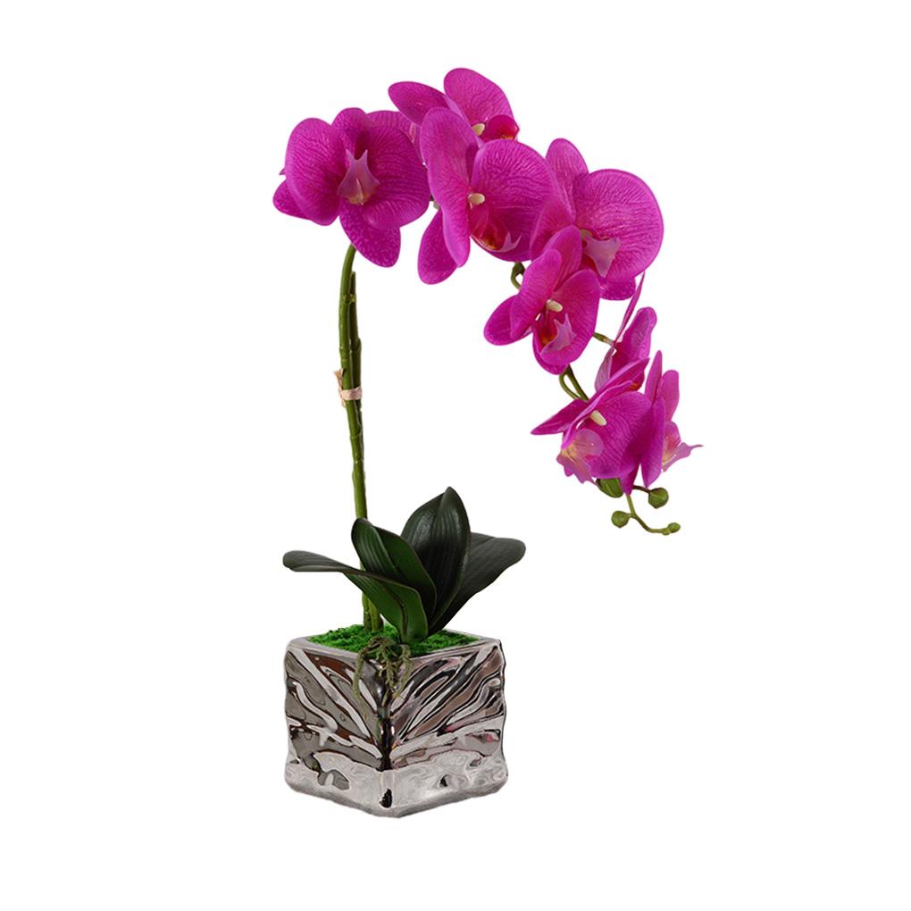 Искусственная орхидея Искусственный цветок Садовый декор Спальня Кухня Ванная комната Стол Пластиковый горшок Главная Наклейка Многоцелевой темно-фиолетового
Искусственная орхидея Искусственный цветок Садовый декор Спальня Кухня Ванная комната Стол Пластиковый горшок Главная Наклейка Многоцелевой темно-фиолетового