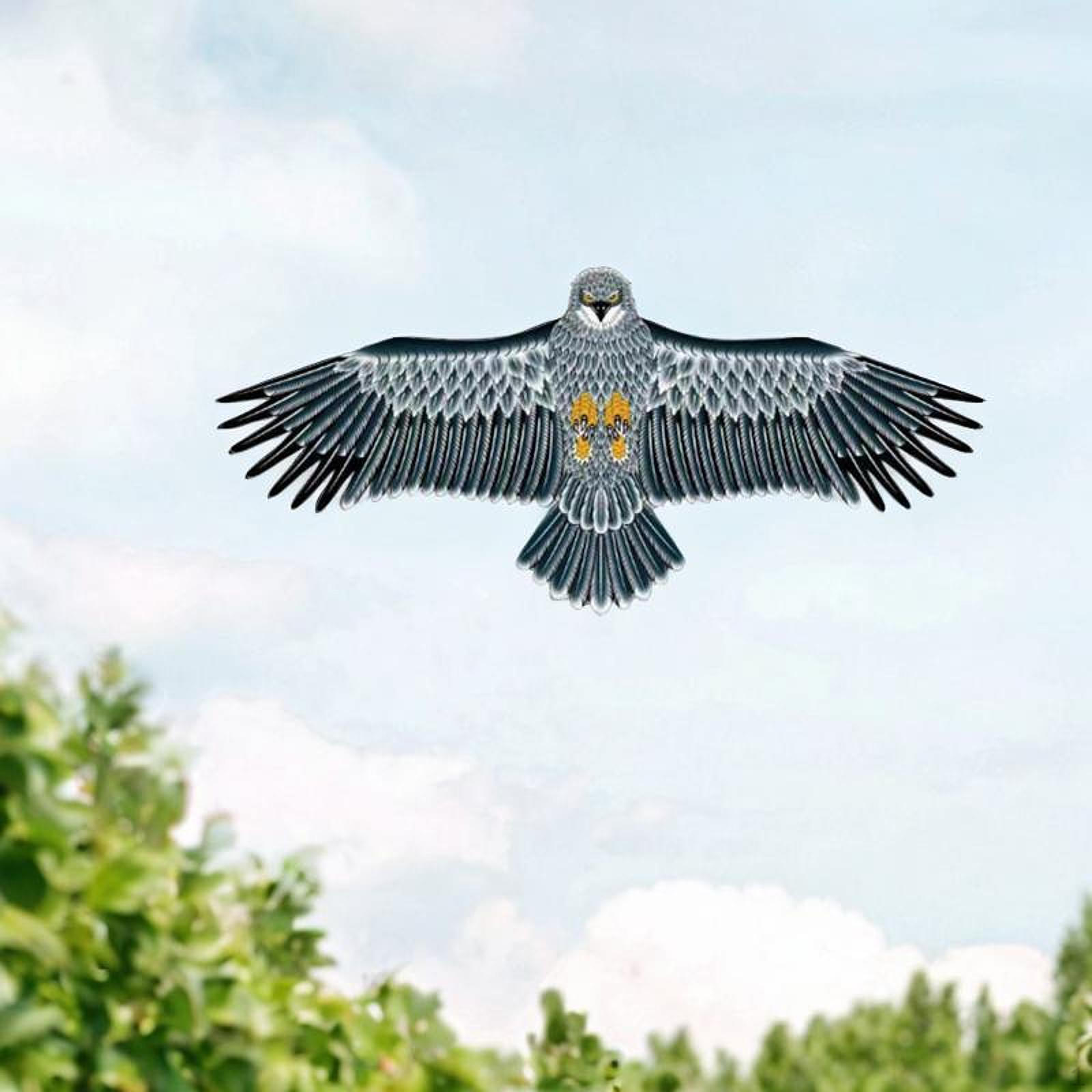 Орел Огромный Воздушный Змей Птицы Парк Семейная Игра Летающая Игрушка для Спортивного Сада 2M
Орел Огромный Воздушный Змей Птицы Парк Семейная Игра Летающая Игрушка для Спортивного Сада 2M