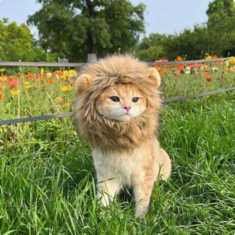 Acrylic Fibers Pet Lion Hat Soft Cat Wig Hat Creative Lion Mane Wig Cap Hat Cosplay Party M коричневий
Acrylic Fibers Pet Lion Hat Soft Cat Wig Hat Creative Lion Mane Wig Cap Hat Cosplay Party M коричневий