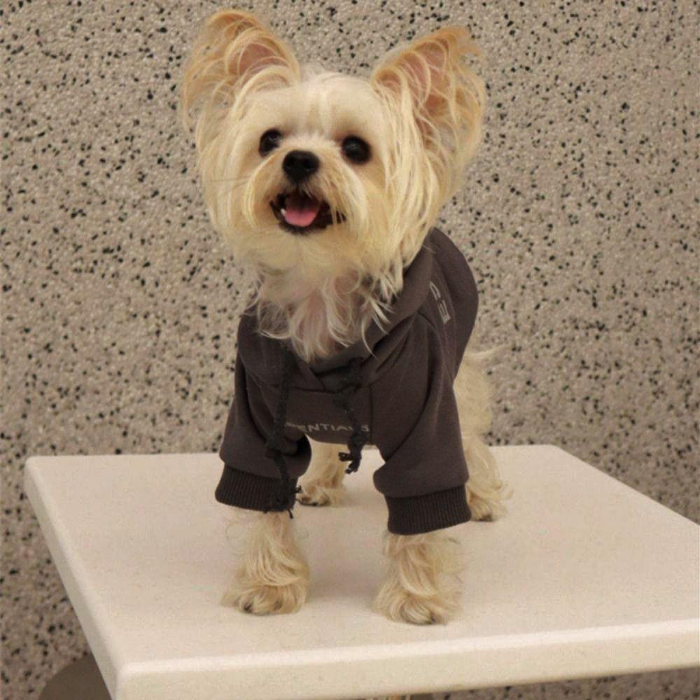 Polyester/Plush Thickened Warm Dog Sweater Soft Two-legged Puppy Coat Dog Hoodie Sweatshirt Spring абрикосовый
Polyester/Plush Thickened Warm Dog Sweater Soft Two-legged Puppy Coat Dog Hoodie Sweatshirt Spring абрикосовый