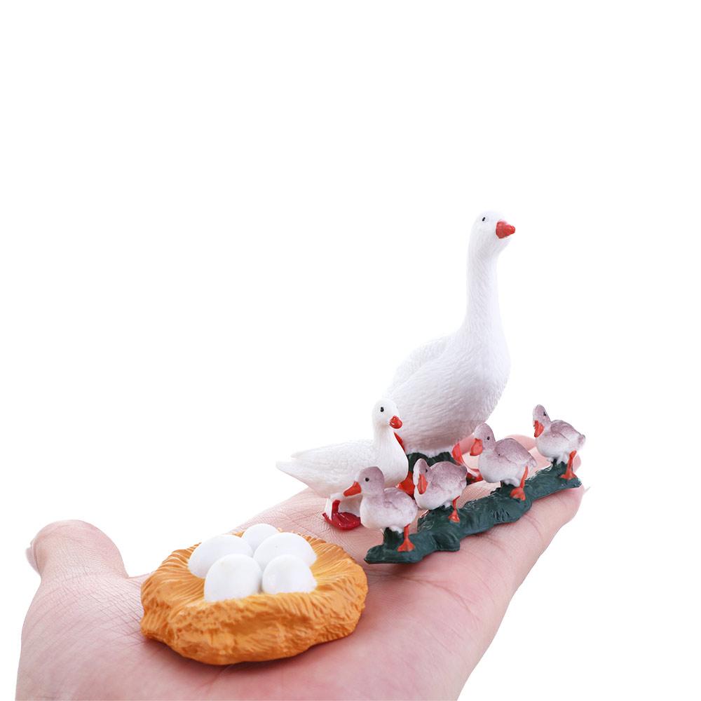 Cycle Educational Toys White Goose Growth Cycle Simulation Life Cycle Figures Cycle Duck Figurine Hen
Cycle Educational Toys White Goose Growth Cycle Simulation Life Cycle Figures Cycle Duck Figurine Hen