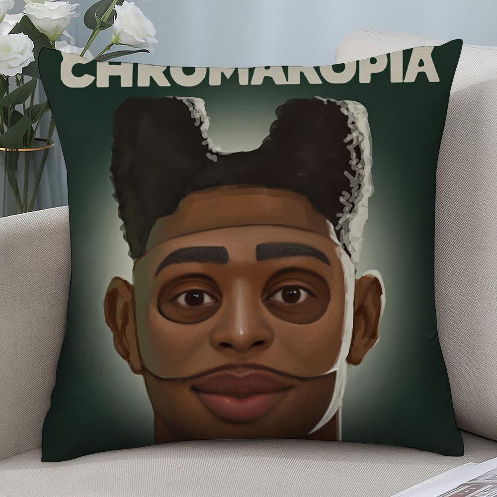 TTyler The Creator Mugshot Pillow Case 3D Print Polyester Fiber 4040 cm Home Sofa Throw Pillow Cover Decoration Festival Gift 40x40cm 16x16in
TTyler The Creator Mugshot Pillow Case 3D Print Polyester Fiber 4040 cm Home Sofa Throw Pillow Cover Decoration Festival Gift 40x40cm 16x16in