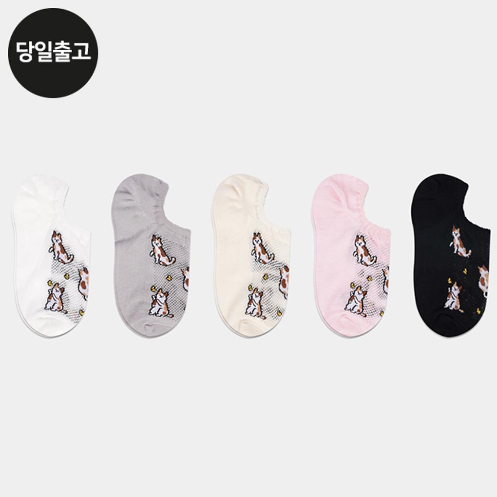 PG Women s/Student Spring Has Come Socks (5 Pairs) Set Daily Fake Socks
PG Women s/Student Spring Has Come Socks (5 Pairs) Set Daily Fake Socks