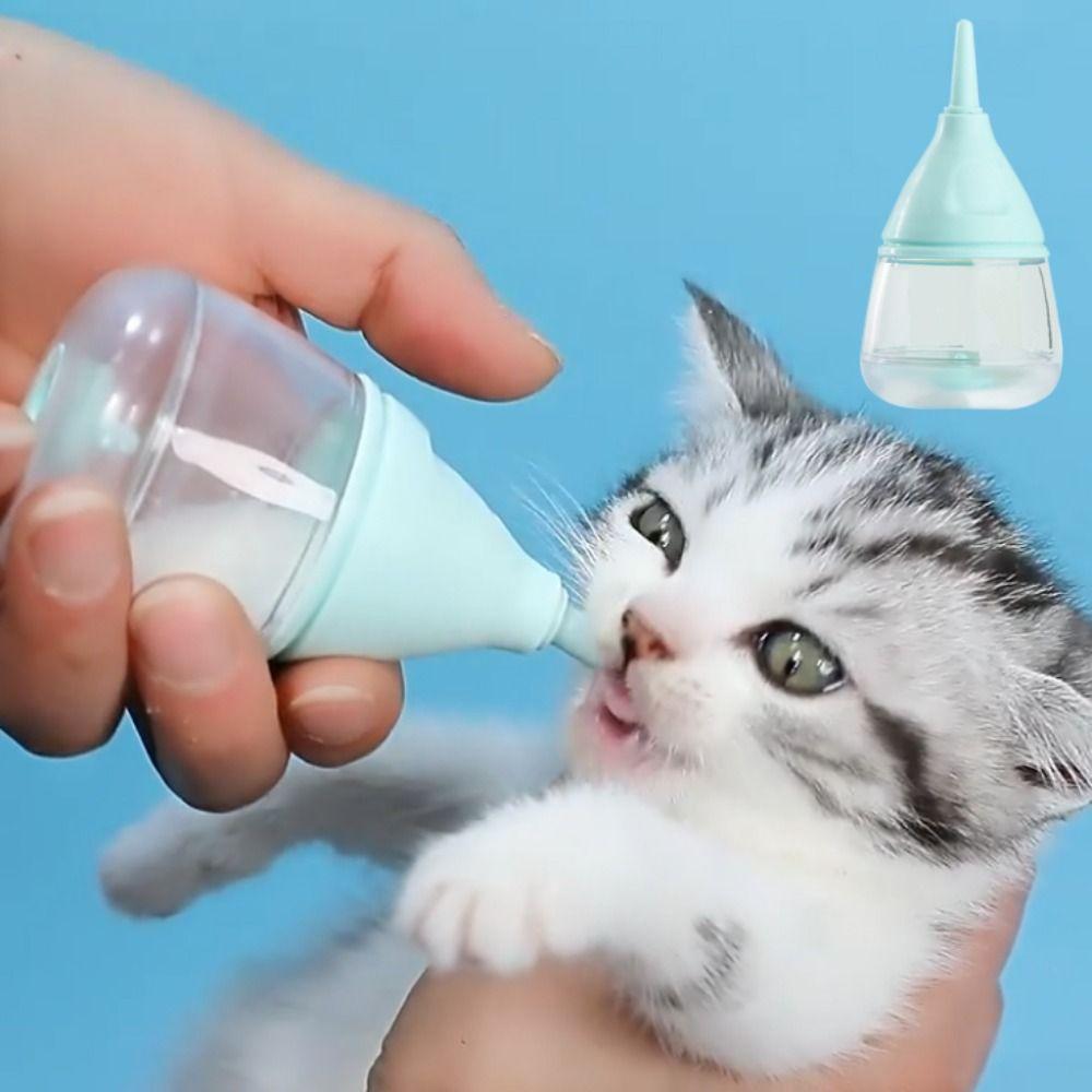 Бутылочка для кормления котят с защитой от укусов, соски для котят, бутылочка для новорожденных питомцев с защитой от удушья
Бутылочка для кормления котят с защитой от укусов, соски для котят, бутылочка для новорожденных питомцев с защитой от удушья