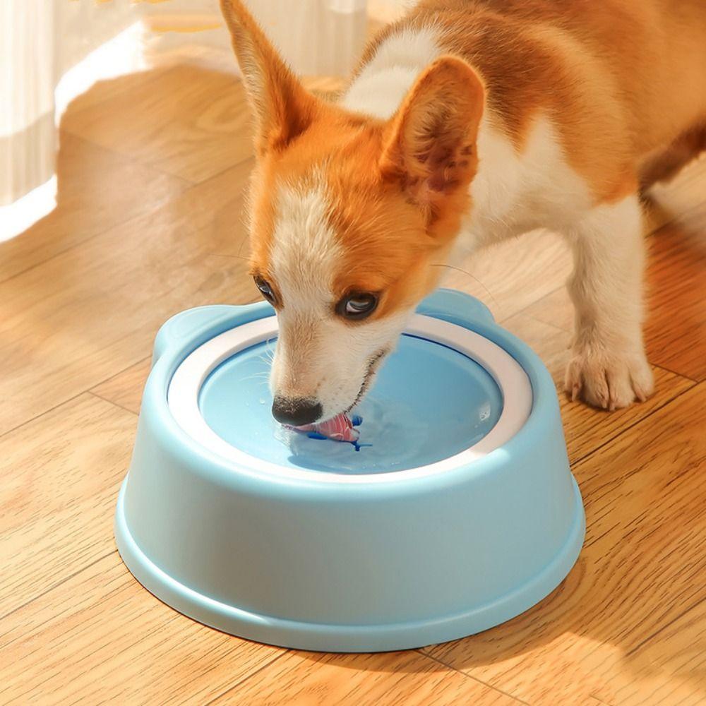 Plastic Dog Drinking Water Bowl 1000ml Pet Water Feeding Dispenser Cat Bowl Container синій
Plastic Dog Drinking Water Bowl 1000ml Pet Water Feeding Dispenser Cat Bowl Container синій