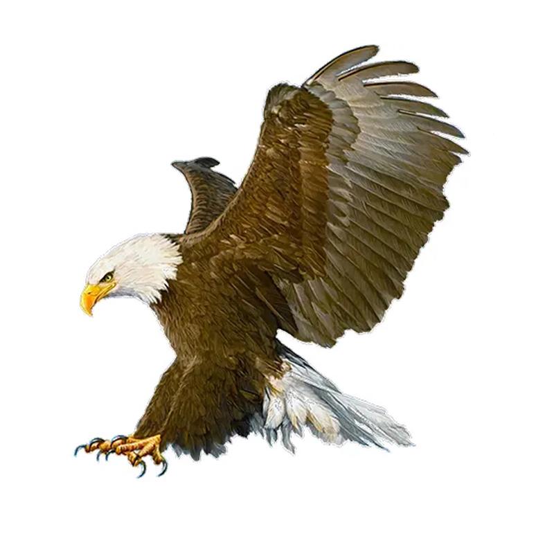 J510 # свирепый орел, ручная роспись, наклейка на автомобиль, виниловая наклейка, водонепроницаемые декоративные наклейки для автомобиля A-15cm-Longest Side
J510 # свирепый орел, ручная роспись, наклейка на автомобиль, виниловая наклейка, водонепроницаемые декоративные наклейки для автомобиля A-15cm-Longest Side