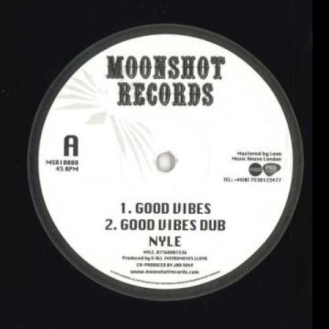 10inch Record NYLE Good Vibes Organise MSR10008 Moonshot 2023 UK Reggae Ska Dub
10inch Record NYLE Good Vibes Organise MSR10008 Moonshot 2023 UK Reggae Ska Dub
