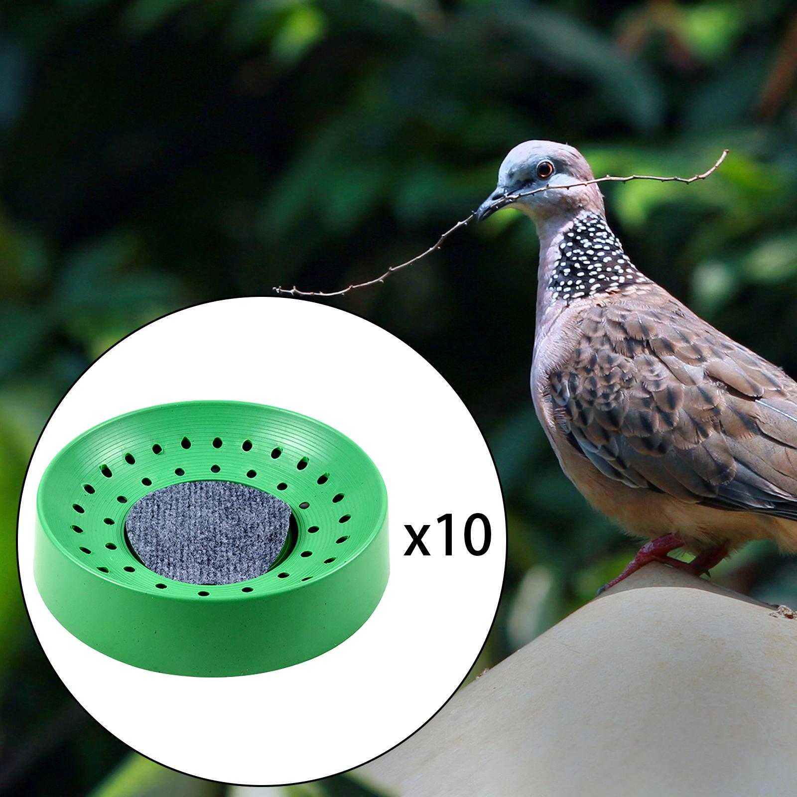 Green Bird Nesting Bowl Breeding Pigeon Basin for Small Birds Quails Den Cage Bird Supplies зелёный
Green Bird Nesting Bowl Breeding Pigeon Basin for Small Birds Quails Den Cage Bird Supplies зелёный