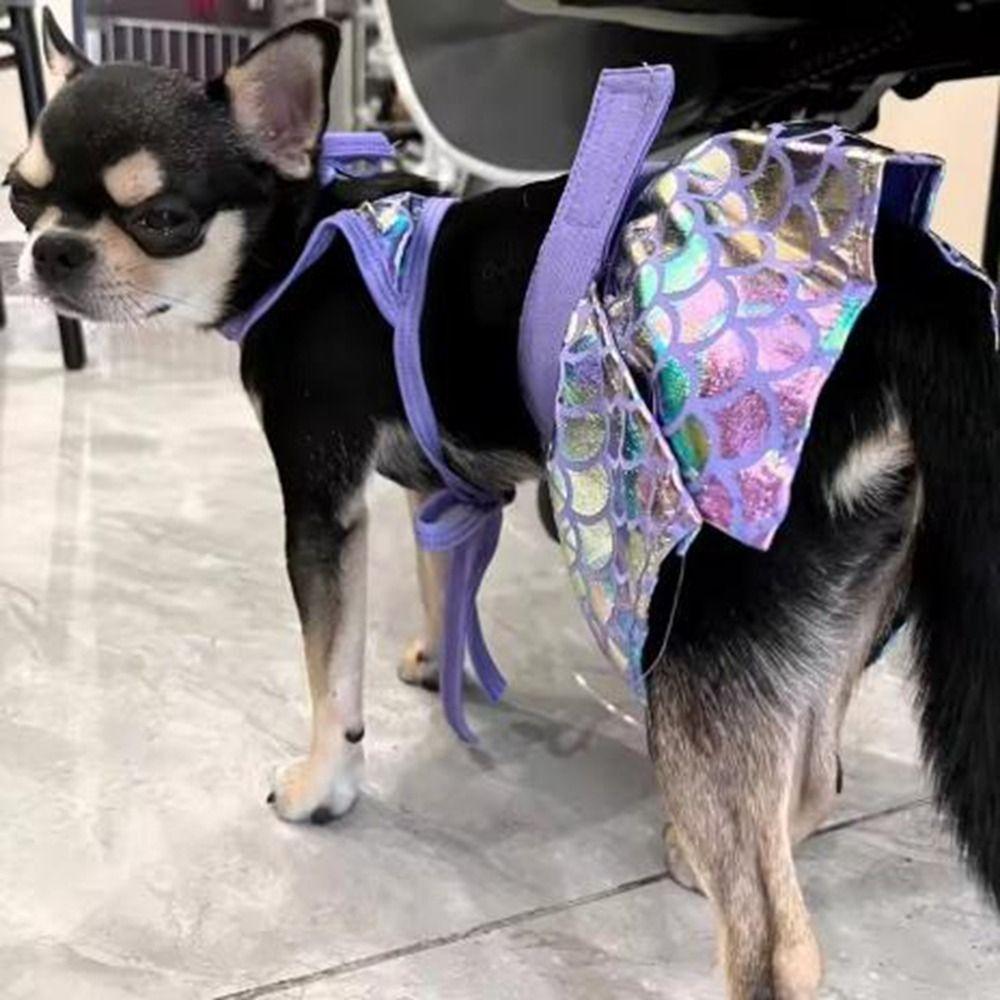 Fashion Pets Swimsuits Fishscale Pattern Dog Beach Skirt Funny Pet Dog Dress for Puppy Cat XS рожевий
Fashion Pets Swimsuits Fishscale Pattern Dog Beach Skirt Funny Pet Dog Dress for Puppy Cat XS рожевий