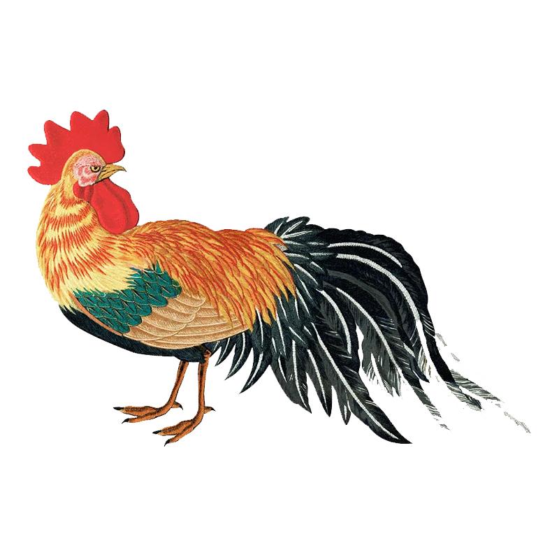 Beautiful Big Cock Car Stickers Waterproof Vinyl Decals Auto Body Window Bumper Decor Motorcycle Helmet Stickers X12 E-15cm Longest Side
Beautiful Big Cock Car Stickers Waterproof Vinyl Decals Auto Body Window Bumper Decor Motorcycle Helmet Stickers X12 E-15cm Longest Side