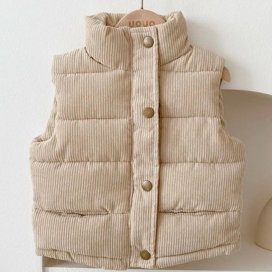 Детский вельветовый утепленный жилет со стойкой, легкая безрукавная верхняя одежда на весну-осень, возраст 1–9 лет, розовый, серый, белый 110 (2T–3T) бежевый
Детский вельветовый утепленный жилет со стойкой, легкая безрукавная верхняя одежда на весну-осень, возраст 1–9 лет, розовый, серый, белый 110 (2T–3T) бежевый