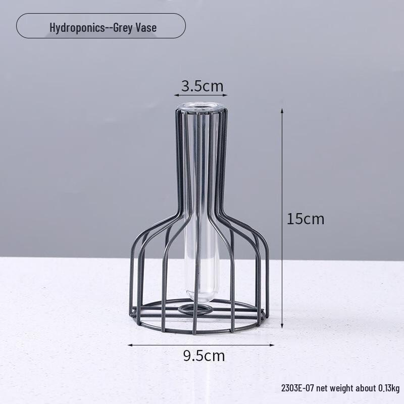 Ruijie Light Luxury Gold Iron Art Hydroponic Vase Set
Ruijie Light Luxury Gold Iron Art Hydroponic Vase Set