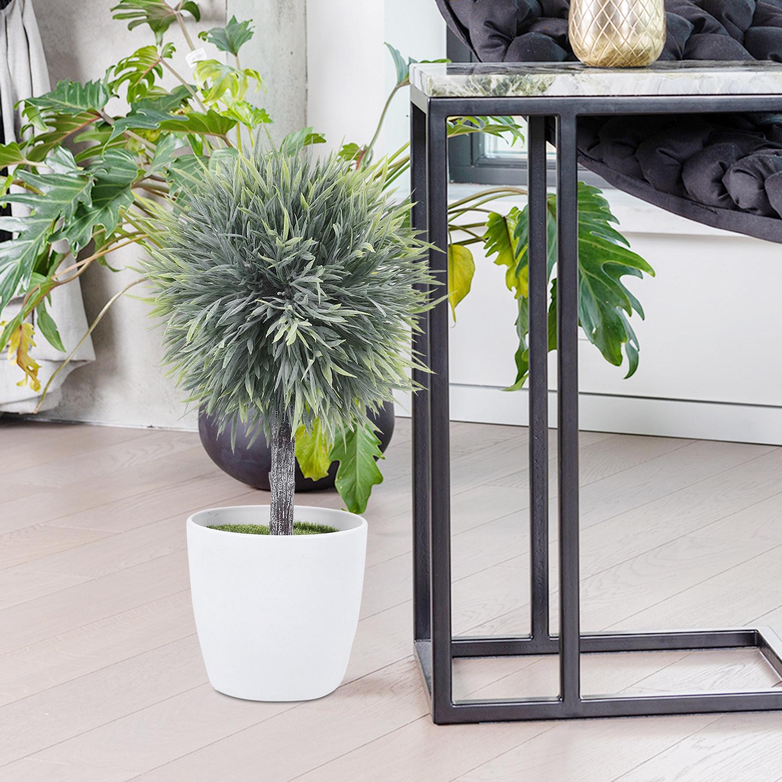 Desktop Fake Bonsai Artificial Plant with Pot for Indoor Window Sill Bookshelf Coffee Table Decor High Quality Lifelike 8X18CM
Desktop Fake Bonsai Artificial Plant with Pot for Indoor Window Sill Bookshelf Coffee Table Decor High Quality Lifelike 8X18CM