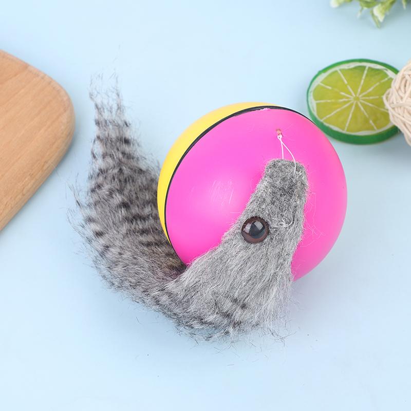 Игрушка для домашних животных Собака Кошка Ласка Моторизованный Забавный Катящийся Мяч Мячи Бобра Игрушки для домашних животных Кошка
Игрушка для домашних животных Собака Кошка Ласка Моторизованный Забавный Катящийся Мяч Мячи Бобра Игрушки для домашних животных Кошка