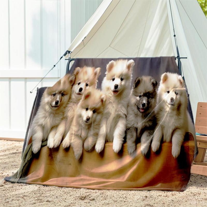 1pc dog pattern blanket, all season lightweight home office outdoor nap multifunctional blanket 80cm x 120cm
1pc dog pattern blanket, all season lightweight home office outdoor nap multifunctional blanket 80cm x 120cm