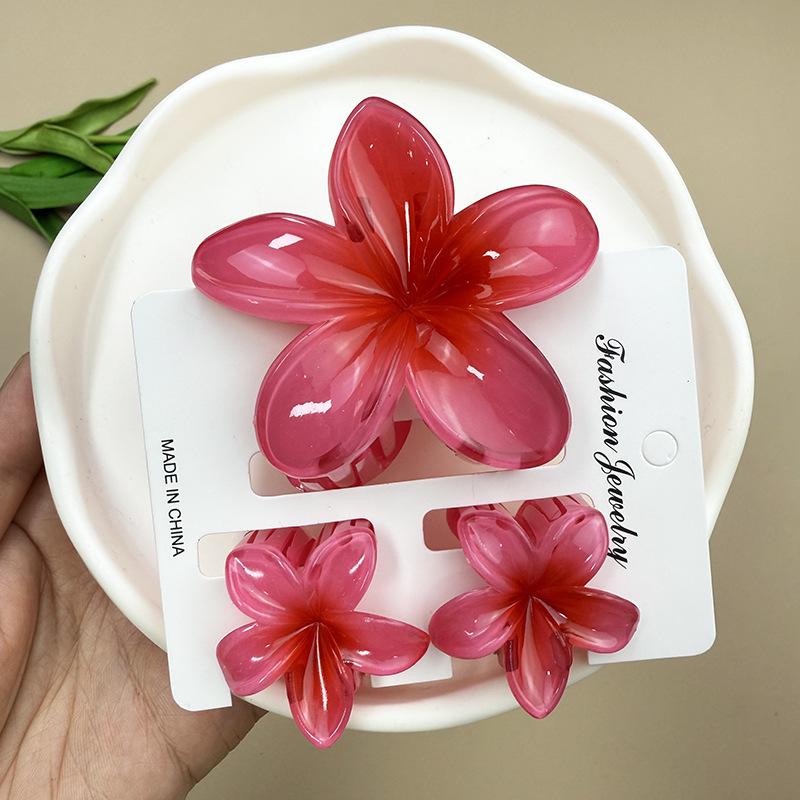 Набор градиентных зажимов-крабов Плюмерия - Модные цветочные аксессуары для волос
Набор градиентных зажимов-крабов Плюмерия - Модные цветочные аксессуары для волос