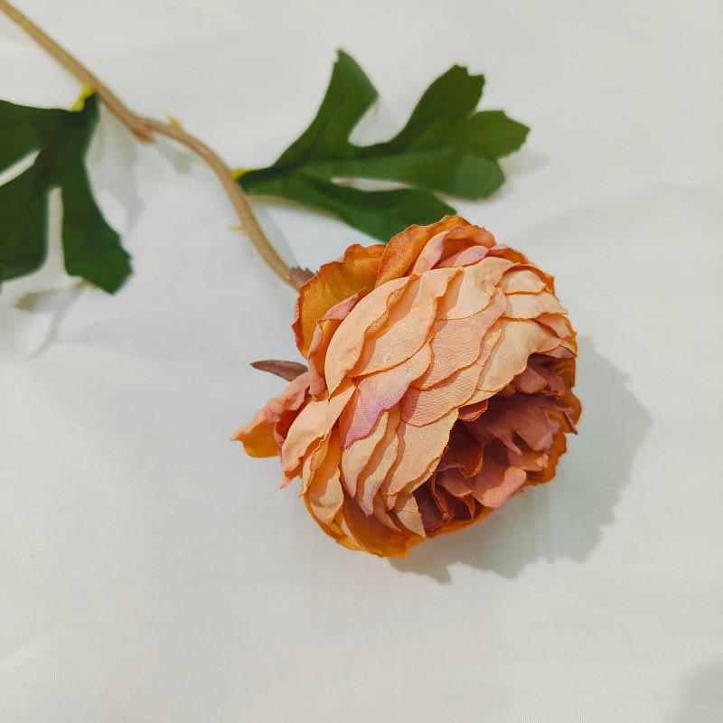 Искусственный цветок, чайная роза с одним краем, пион, искусственный цветок, жареный край, пион, шелковый цветок, осеннее украшение для волос, цветочное украшение для гостиной оранжевый
Искусственный цветок, чайная роза с одним краем, пион, искусственный цветок, жареный край, пион, шелковый цветок, осеннее украшение для волос, цветочное украшение для гостиной оранжевый