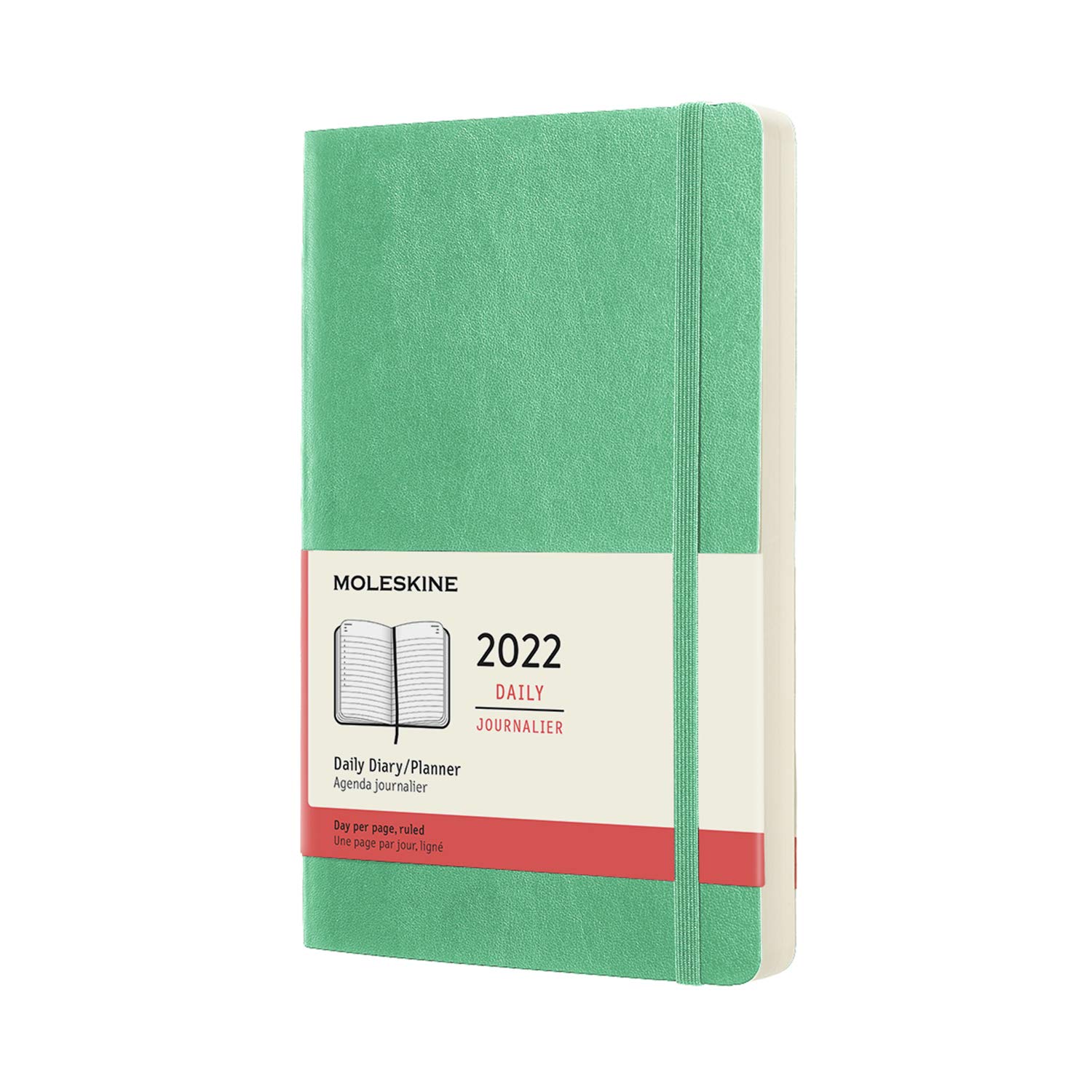 Moleskine Блокнот 2022 год, начало в январе, 12 месяцев, ежедневник, мягкая обложка, большой формат, ледяной зеленый DSK4612DC3Y22