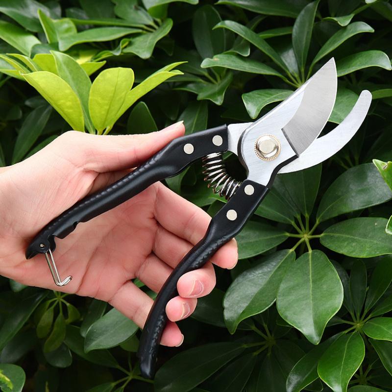1pcs Floral Cutter Stem Thinning Tree Branch Trimming Fruit Picking SK5 Steel Heavy-Duty Horticultural Scissors Gardening Tools чорний
1pcs Floral Cutter Stem Thinning Tree Branch Trimming Fruit Picking SK5 Steel Heavy-Duty Horticultural Scissors Gardening Tools чорний