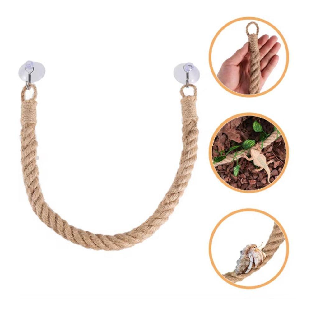 Гибкая веревка для скалолазания в виде рака-отшельника, износостойкая веревка для попугая, качели для ящика для рептилий S
Гибкая веревка для скалолазания в виде рака-отшельника, износостойкая веревка для попугая, качели для ящика для рептилий S