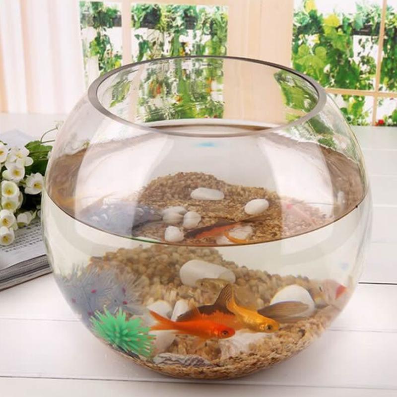 8/10/12/15cm Round Ball Vase Micro Landscape Moss Ecological Bottle Transparent Hydroponic Vase Simple 8cm
8/10/12/15cm Round Ball Vase Micro Landscape Moss Ecological Bottle Transparent Hydroponic Vase Simple 8cm