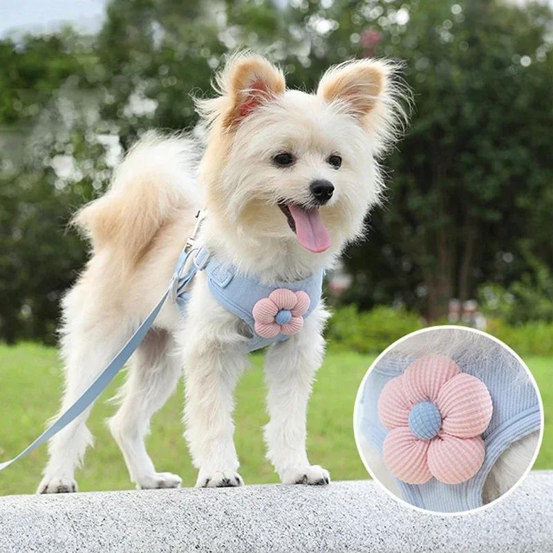 Pet vest traction rope dog cartoon three-dimensional accessories Teddy walking dog rope cat going out chest and back protection S рожевий
Pet vest traction rope dog cartoon three-dimensional accessories Teddy walking dog rope cat going out chest and back protection S рожевий