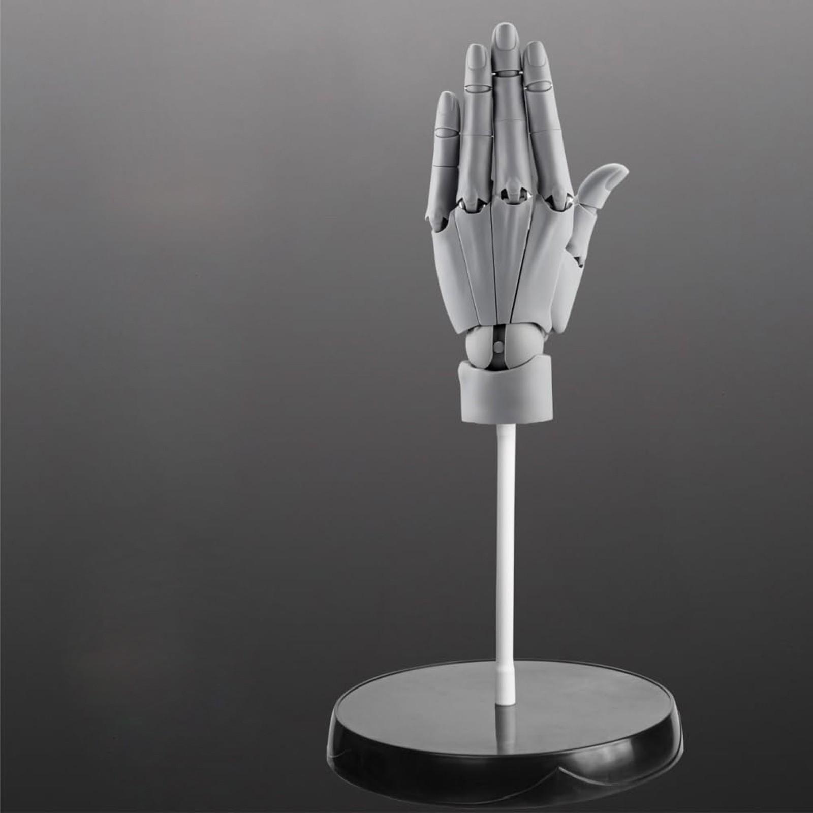 Гибкая модель руки художника, Регулируемая модель руки для рисования, Живая фигура манекена, модель руки для украшения стола, эскизов, рисования, живописи One Size
Гибкая модель руки художника, Регулируемая модель руки для рисования, Живая фигура манекена, модель руки для украшения стола, эскизов, рисования, живописи One Size
