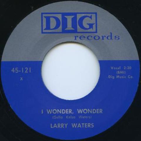 7inch Record LARRY WATERS / PRESTON LOVE - I Wonder, Wonder / Coutry Boy DIG121 Dig UK UK Blues
7inch Record LARRY WATERS / PRESTON LOVE - I Wonder, Wonder / Coutry Boy DIG121 Dig UK UK Blues